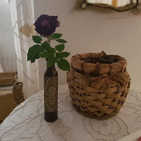 Apartman Indira *